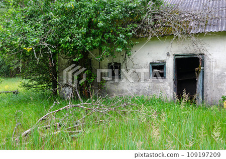Dilapidated one-story building on former mechanized yard of state farm in resettled village of Pogonnoye in Chernobyl exclusion zone, Belarus Dilapidated one-story building on former mechanized yard of state farm in resettled village of Pogonnoye in Chernobyl exclusion zone, Belarus 109197209
