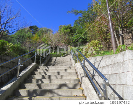 Steep stairs at Saikiyama Green Space 109197422