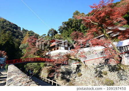 紅色橋樑和秋葉 109197450