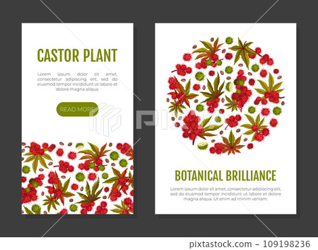 Castor Plant Banner Design with Leaves and Inflorescence Vector Template 109198236
