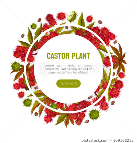 Castor Plant Banner Design with Leaves and Inflorescence Vector Template Castor Plant Banner Design with Leaves and Inflorescence Vector Template 109198252