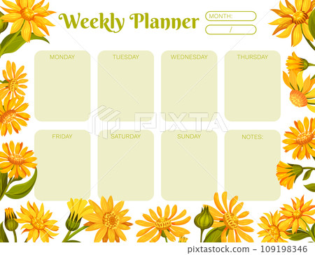 Arnica Herb Nature Week Planner Design with Meadow Flower Vector Template Arnica Herb Nature Week Planner Design with Meadow Flower Vector Template 109198346