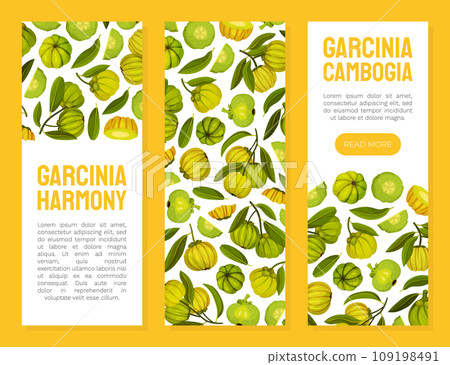 Garcinia Fruit Banner Design with Green Plant Vector Template 109198491