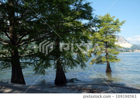 Isola Superiore dei Pescatori - the Fishermen Island, one of the famous Borromeo Islands of Lake Maggiore, Italy 109198561