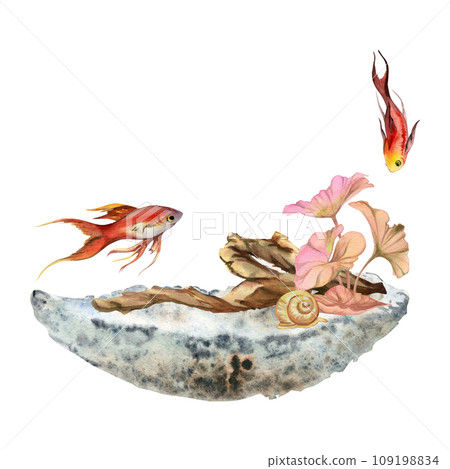 Hand drawn watercolor aquarium fish, algae with bog wood, snails shells. Marine exotic underwater illustration. Isolated on white background. Design for shops, brochure, print, card, wall art, textile Hand drawn watercolor aquarium fish, algae with bog wood, snails shells. Marine exotic underwater illustration. Isolated on white background. Design for shops, brochure, print, card, wall art, textile 109198834