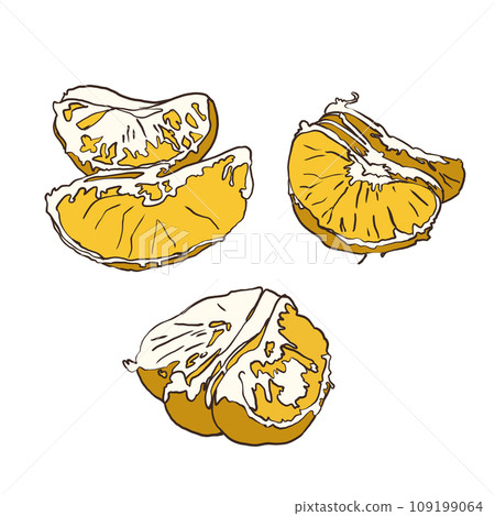 A hand-drawn drawing of a mandarin in the style of a sketch illustration. A set of abstract oranges drawn by hand. A collection of illustrations of whole and cut tangerines highlighted on a white A hand-drawn drawing of a mandarin in the style of a sketch illustration. A set of abstract oranges drawn by hand. A collection of illustrations of whole and cut tangerines highlighted on a white 109199064