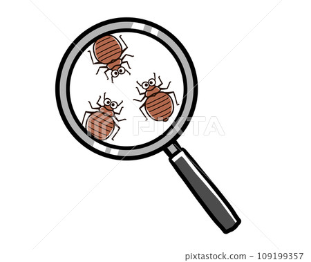 bed bugs and magnifying glass 109199357