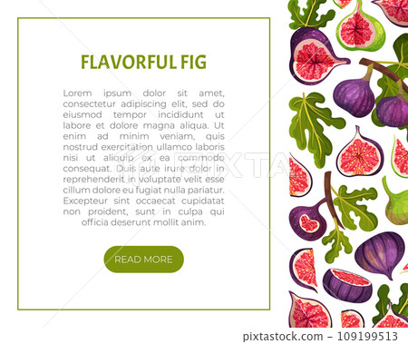 Fig Fruit Banner Design with Green Leaf Vector Template 109199513