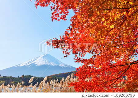 秋葉和富士山 秋葉和富士山 109200790