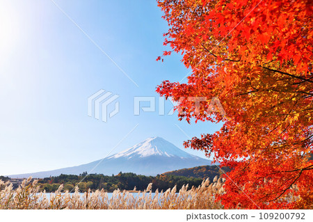 秋葉和富士山 秋葉和富士山 109200792