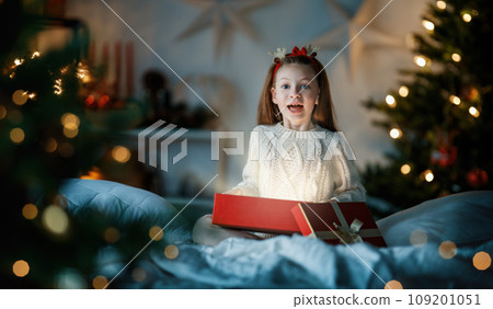 girl with Christmas gift girl with Christmas gift 109201051