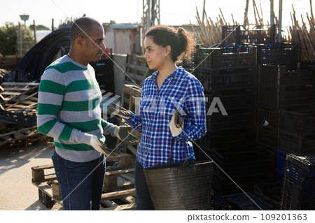 Good neighbors talking in the backyard of house 109201363