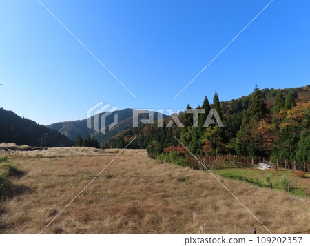 初冬枯萎，山巒在晴朗的天空下 109202357