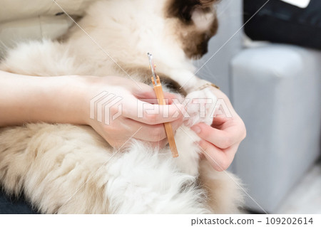 貓指甲鉗 貓指甲鉗 109202614