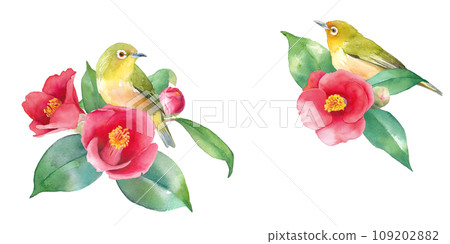 Watercolor illustration of red camellia and wild bird (white-eye). 2 corner decorative frame. banner. Camellia camellia. 109202882