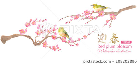 Early spring flowers: watercolor illustration of plum blossoms and white-eye. Red plum and small bird. Japanese culture. (vector) 109202890