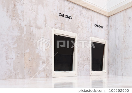 cat doorway 109202900