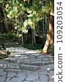 Kumano Kodo stone pavement stairs 109203054
