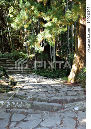 Kumano Kodo stone pavement stairs 109203054