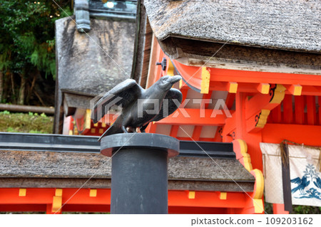 熊野神社的八咫烏 109203162
