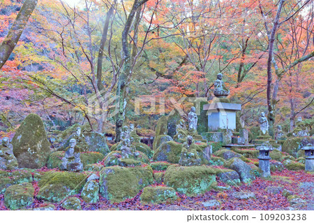 大寧農的秋葉 109203238