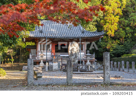 秋天的京都、秋葉和醍醐寺不動堂 109203415