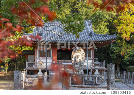 秋天的京都、秋葉和醍醐寺不動堂 109203416