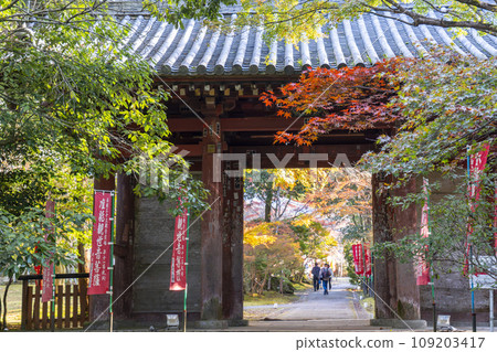 秋天的京都、秋葉和醍醐寺日月門 秋天的京都、秋葉和醍醐寺日月門 109203417
