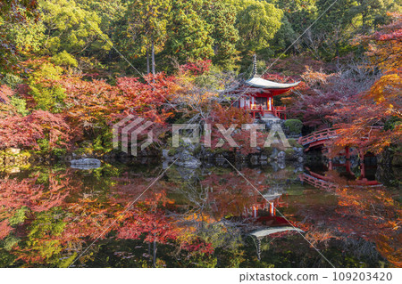 Kyoto in autumn, Daigoji Temple, reflection of Bentendo covered in autumn leaves (Rinsen) 109203420