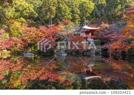 Kyoto in autumn, Daigoji Temple, reflection of Bentendo covered in autumn leaves (Rinsen) Kyoto in autumn, Daigoji Temple, reflection of Bentendo covered in autumn leaves (Rinsen) 109203421