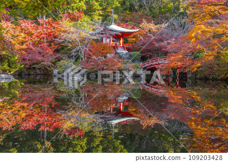 Kyoto in autumn, Daigoji Temple, reflection of Bentendo covered in autumn leaves (Rinsen) Kyoto in autumn, Daigoji Temple, reflection of Bentendo covered in autumn leaves (Rinsen) 109203428