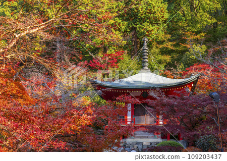 Kyoto in autumn, Daigoji Temple, Bentendo (Rinsen) covered in autumn leaves 109203437