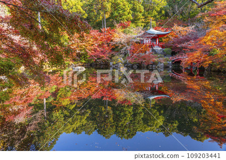 秋天的京都，醍醐寺，紅葉覆蓋的弁天堂倒影（林泉） 109203441