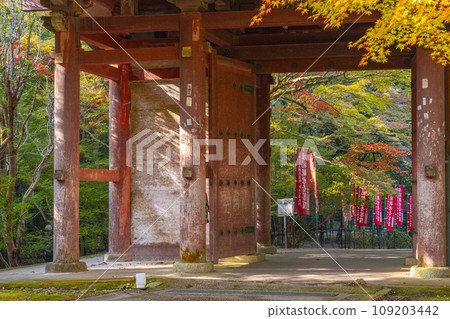 秋天的京都、秋葉和醍醐寺日月門 109203442