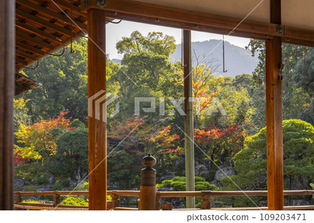 Autumn in Kyoto, Daigoji Temple, Sanpoin garden with autumn leaves Autumn in Kyoto, Daigoji Temple, Sanpoin garden with autumn leaves 109203471