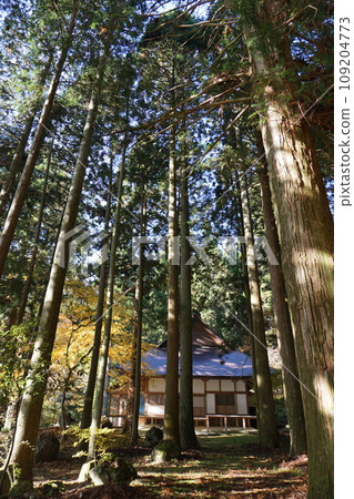 "Bodaiji", a temple of the Jodo sect in Nagi-cho, Katsuta-gun, Okayama Prefecture (famous for the large ginkgo tree that was selected as one of the 100 best-known trees in Japan) "Bodaiji", a temple of the Jodo sect in Nagi-cho, Katsuta-gun, Okayama Prefecture (famous for the large ginkgo tree that was selected as one of the 100 best-known trees in Japan) 109204773