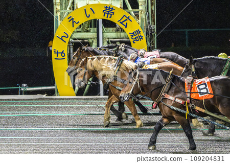 Night race banei horse racing Obihiro Racecourse Night race banei horse racing Obihiro Racecourse 109204831