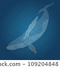 Hump-backed whale swimming in blue water 109204848