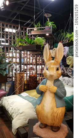 peter rabbit bed 109205259