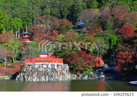[Osaka Prefecture] Bentendo and autumn leaves at Katsuoji Temple on a clear day 109205625