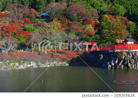 [Osaka Prefecture] Bentendo and autumn leaves at Katsuoji Temple on a clear day 109205626