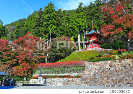 [Osaka Prefecture] Tahoto Pagoda and autumn leaves at Katsuoji Temple on a clear day 109205627
