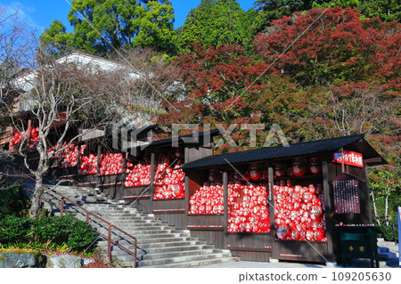 [Osaka Prefecture] Katsuo-ji temple’s Katsuo-dera shrine and autumn leaves on a clear day 109205630