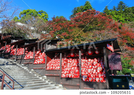 [Osaka Prefecture] Katsuo-ji temple’s Katsuo-dera shrine and autumn leaves on a clear day 109205631