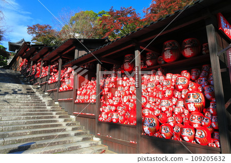 [Osaka Prefecture] Katsuo-ji temple’s Katsuo-dera shrine and autumn leaves on a clear day 109205632