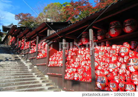 [Osaka Prefecture] Katsuo-ji temple’s Katsuo-dera shrine and autumn leaves on a clear day 109205633