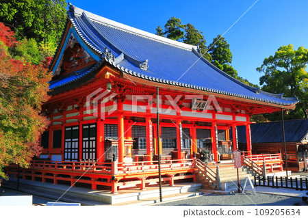 [Osaka Prefecture] The main hall of Katsuoji Temple and autumn leaves on a clear day 109205634