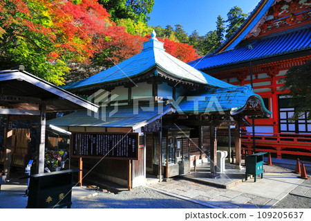 [Osaka Prefecture] Daishido Hall of Katsuoji Temple and autumn leaves on a clear day 109205637