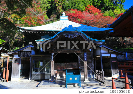 [Osaka Prefecture] Daishido Hall of Katsuoji Temple and autumn leaves on a clear day 109205638
