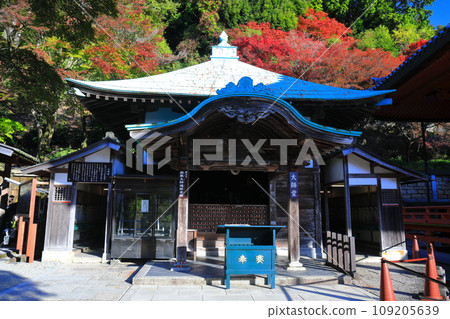 [Osaka Prefecture] Daishido Hall of Katsuoji Temple and autumn leaves on a clear day 109205639